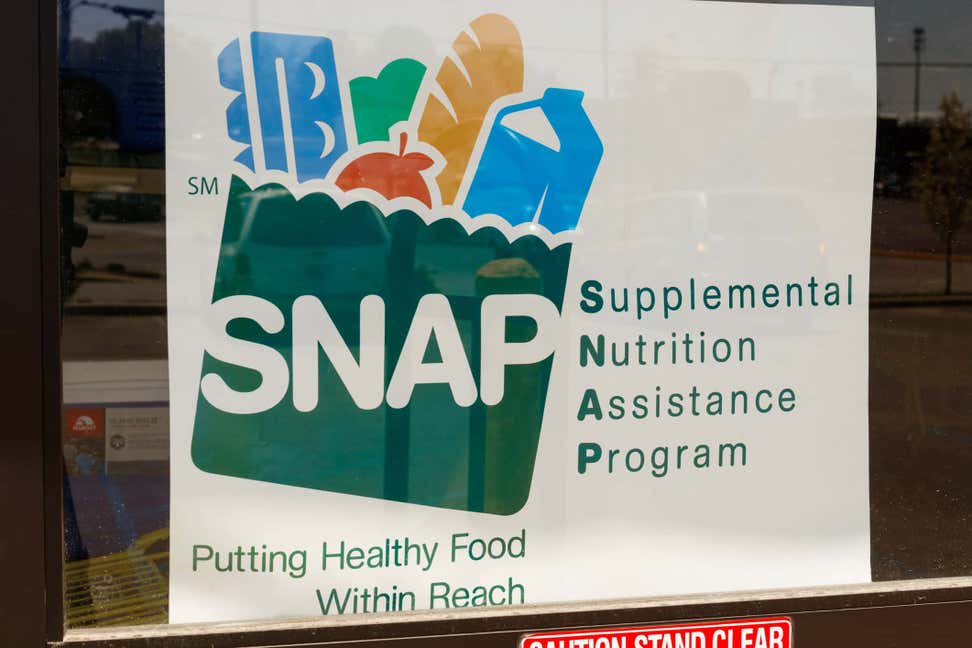 The Supplemental Nutrition Assistance Program, or SNAP, is the largest domestic hunger safety net program, helping low-income older adults achieve food security. 