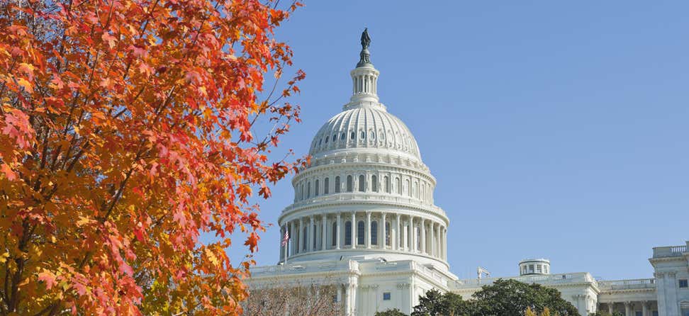 U.S. Capitol building in fall with autumn tree