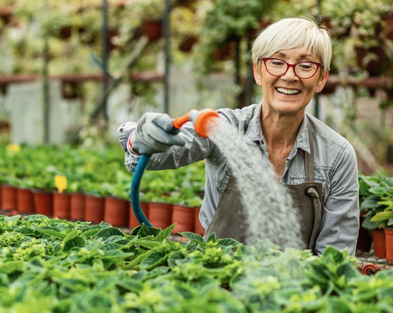 A senior female with short grey hair is watering plants outside at a nursery.