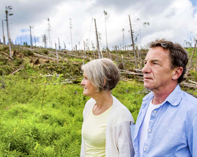 A senior Caucasian couple are seen surveying tree damage after a storm hit their area.